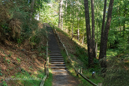 20250914-DSC_7866.jpg
