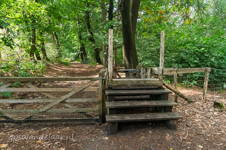 20250914-DSC_7916.jpg