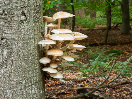 20251012-DSCN0457.jpg
