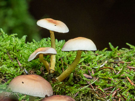 20251012-DSCN0544.jpg