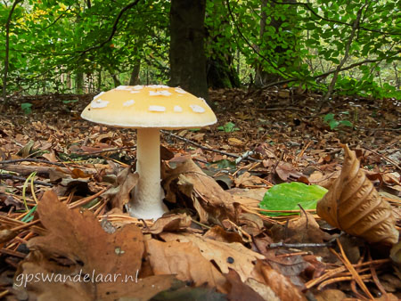 20251012-DSCN0687.jpg
