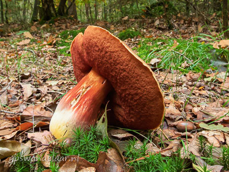 20251012-DSCN0689.jpg