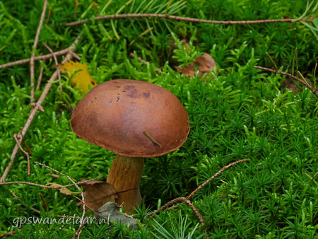20251012-DSCN0712.jpg