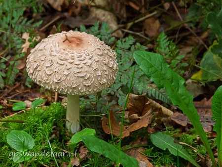 20251012-DSCN0757.jpg