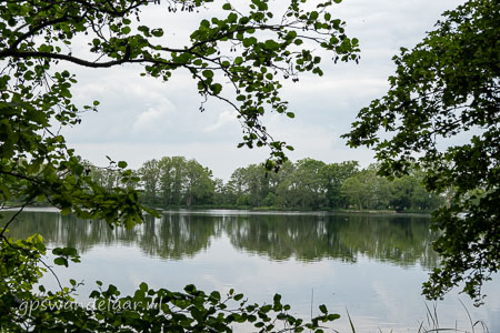 20260508-DSC04572.jpg