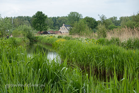 20260508-DSC04640.jpg