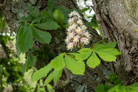 20260508-DSC04743.jpg
