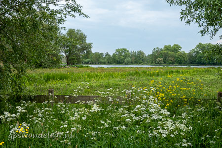20260508-DSC04810.jpg