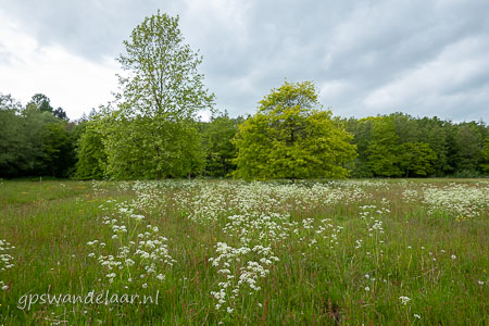 20260517-DSC05355.jpg