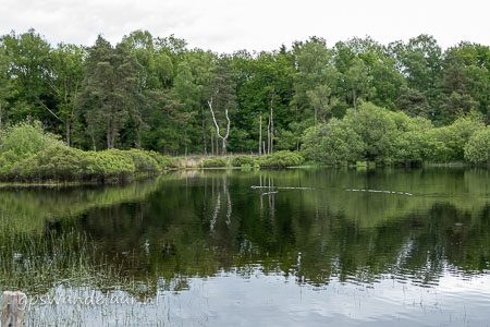 20260517-DSC05472.jpg