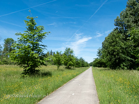 20260524-DSCN1737.jpg