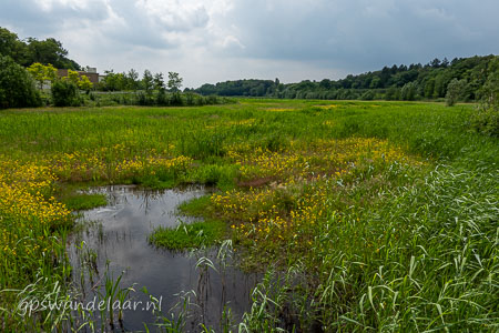 20260531-DSC05873.jpg