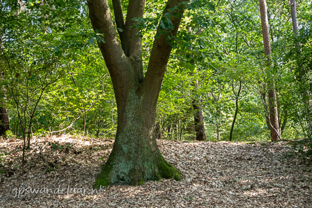 20260702-DSC06656.jpg