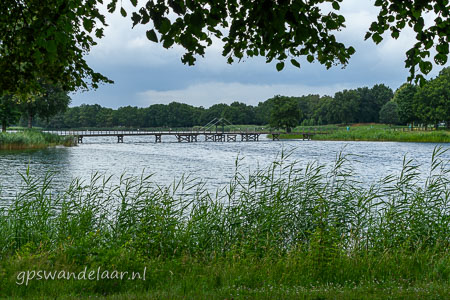 20260705-DSC_3465.jpg