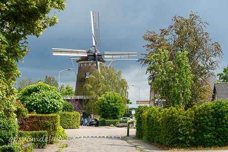 20260705-DSC_3519.jpg
