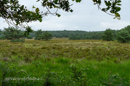 20260708-DSC_3698.jpg