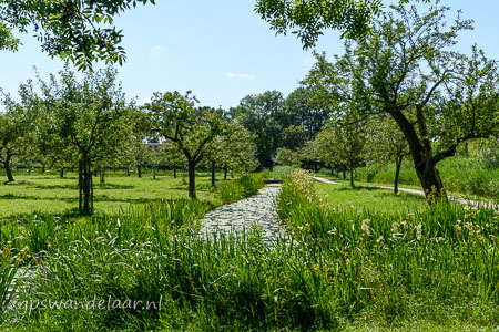 20260709-DSC_4030.jpg