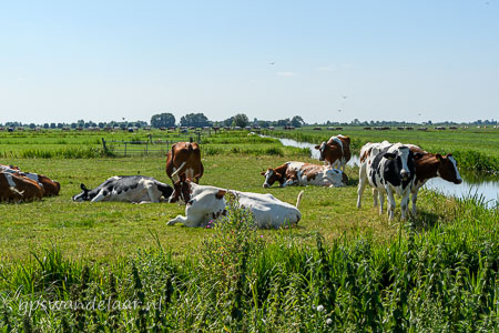 20260709-DSC_4120.jpg