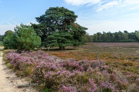 20260827-DSC_4631.jpg