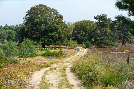 20260827-DSC_4632.jpg