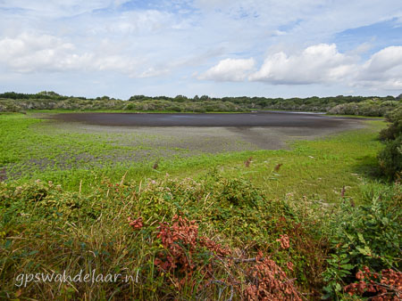 20260829-DSCN2752.jpg