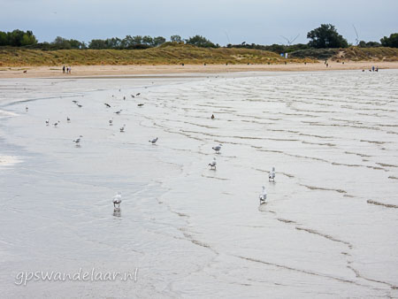 20260829-DSCN2871.jpg
