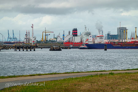 20260830-DSC09096.jpg
