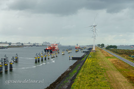 20260830-DSC09194.jpg