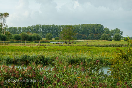 20260902-DSC09804.jpg