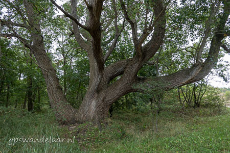 20260903-DSC00012.jpg