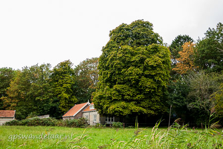 20260903-DSC09909.jpg
