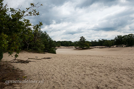 20260912-DSC00134.jpg