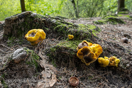 20260912-DSC00424.jpg